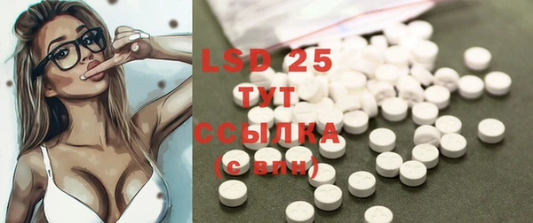 PSILOCYBIN Гусев