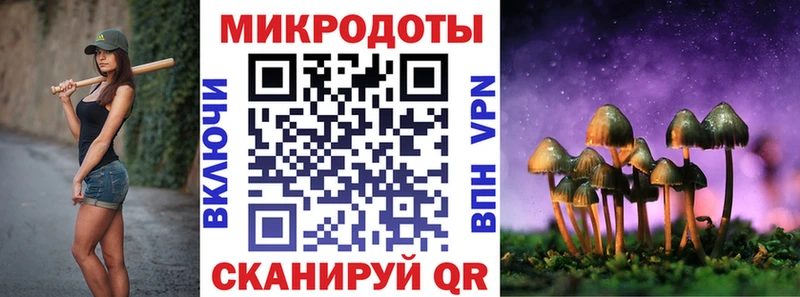 Галлюциногенные грибы Psilocybe Назрань