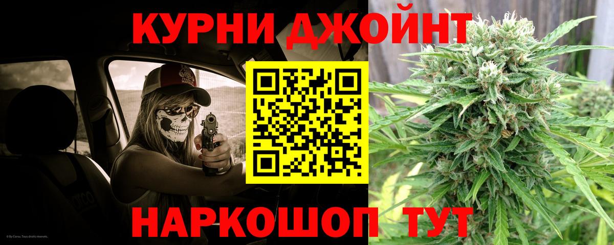 Бошки Шишки план Назрань